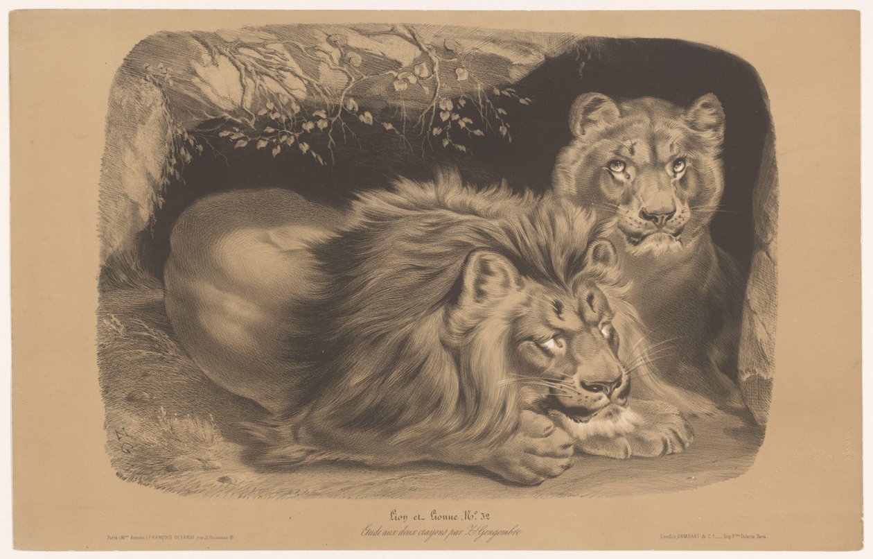Löwe und Löwin (Tierstudien in zwei Kreiden, Serie) von Joseph Zephyris Gengembre