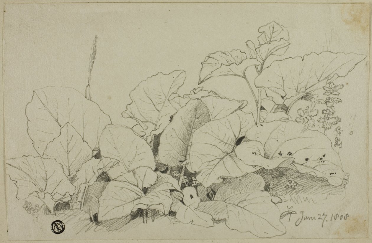 Büschel von Blättern und Blumen von Joshua Cristall
