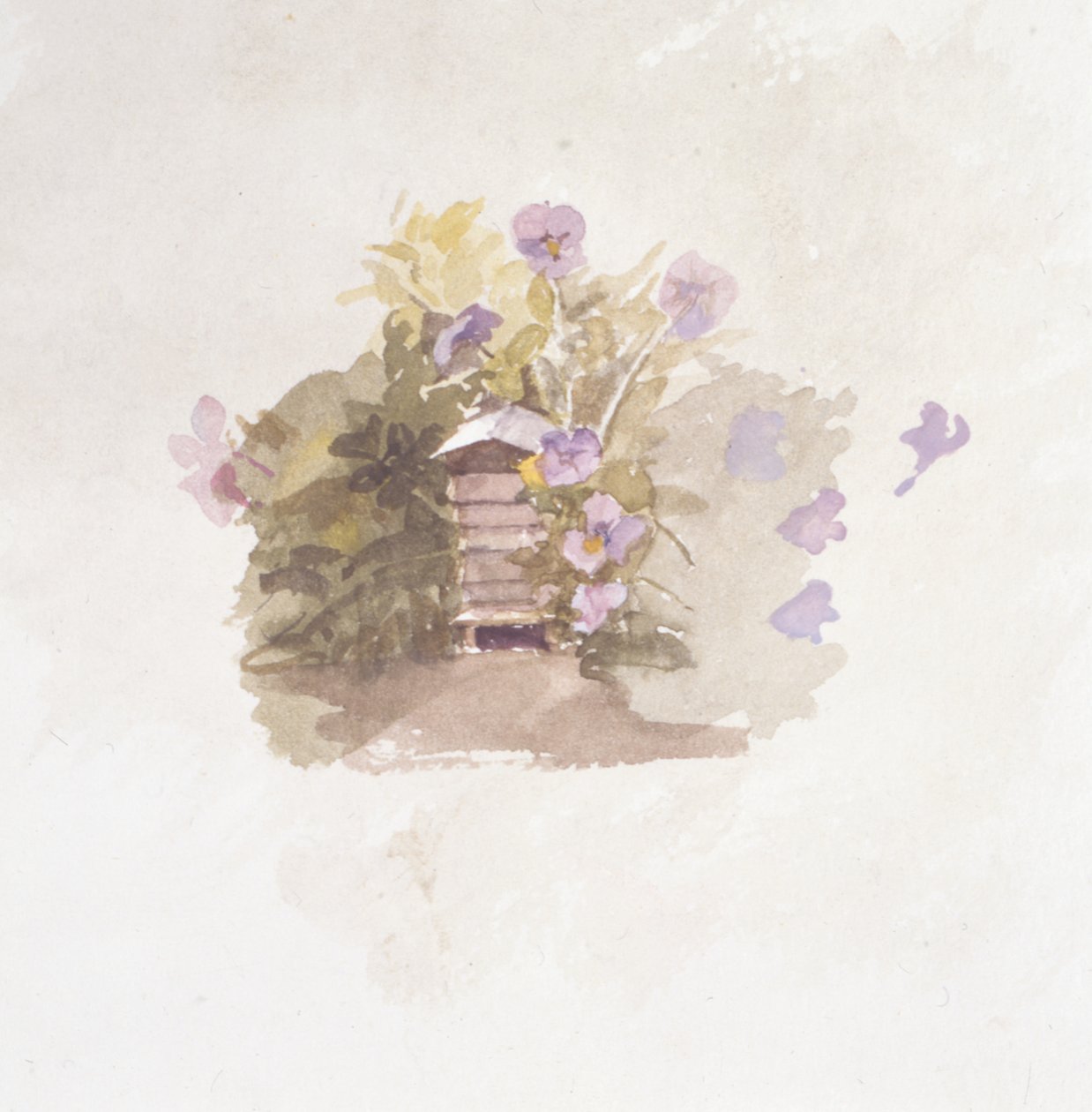 Vogelhausblumen von Joyce Haddon