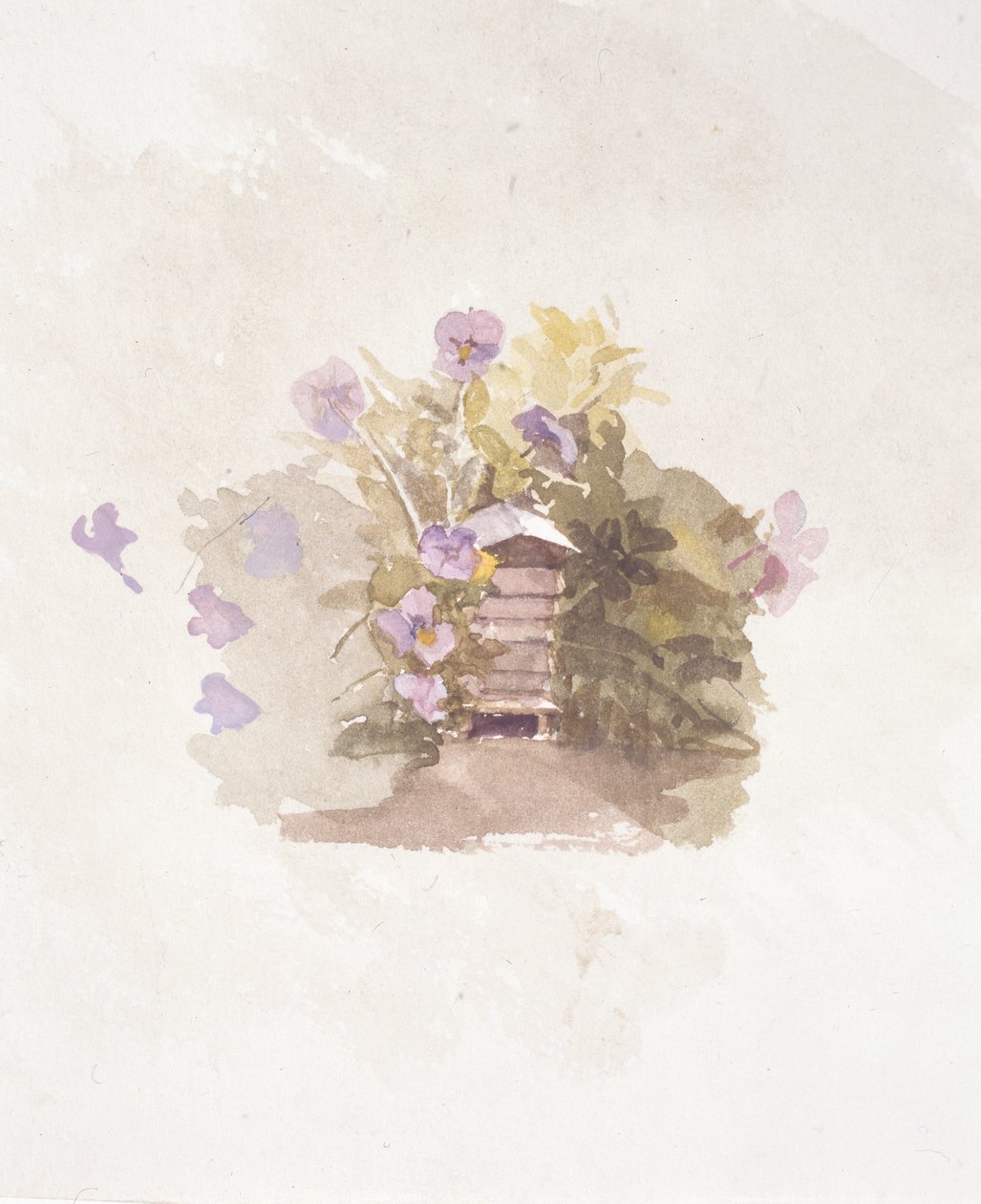 Vogelhausblumen II von Joyce Haddon