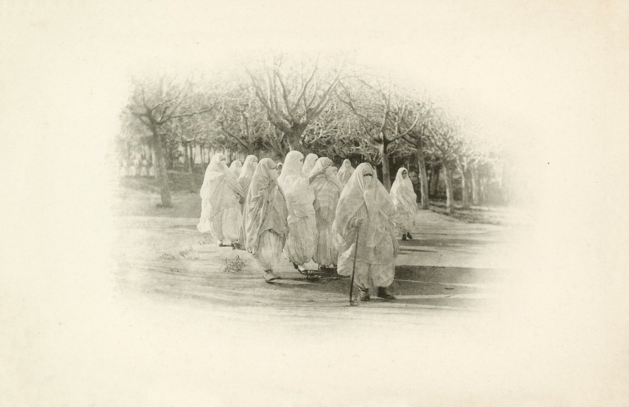 Eine von Jules Gervais-Courtellemonts Ansichten von Algerien von Jules (after) Gervais-Courtellemont