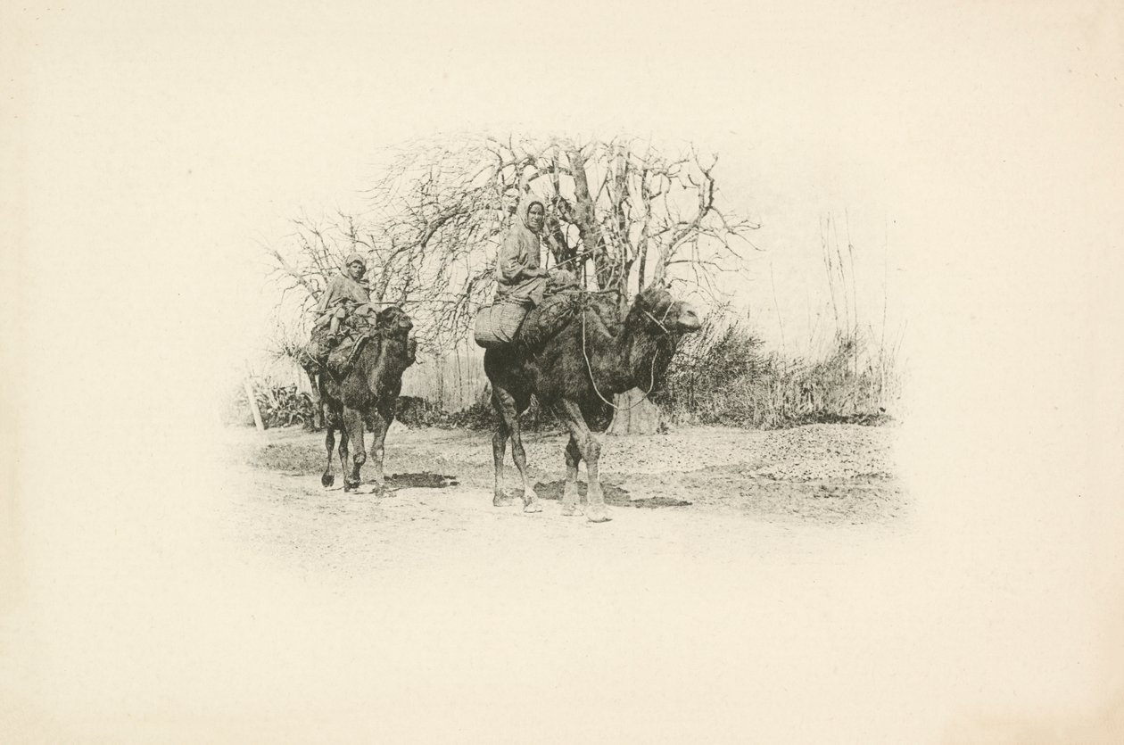 Eine der Ansichten von Algerien von Jules Gervais-Courtellemont von Jules (after) Gervais-Courtellemont