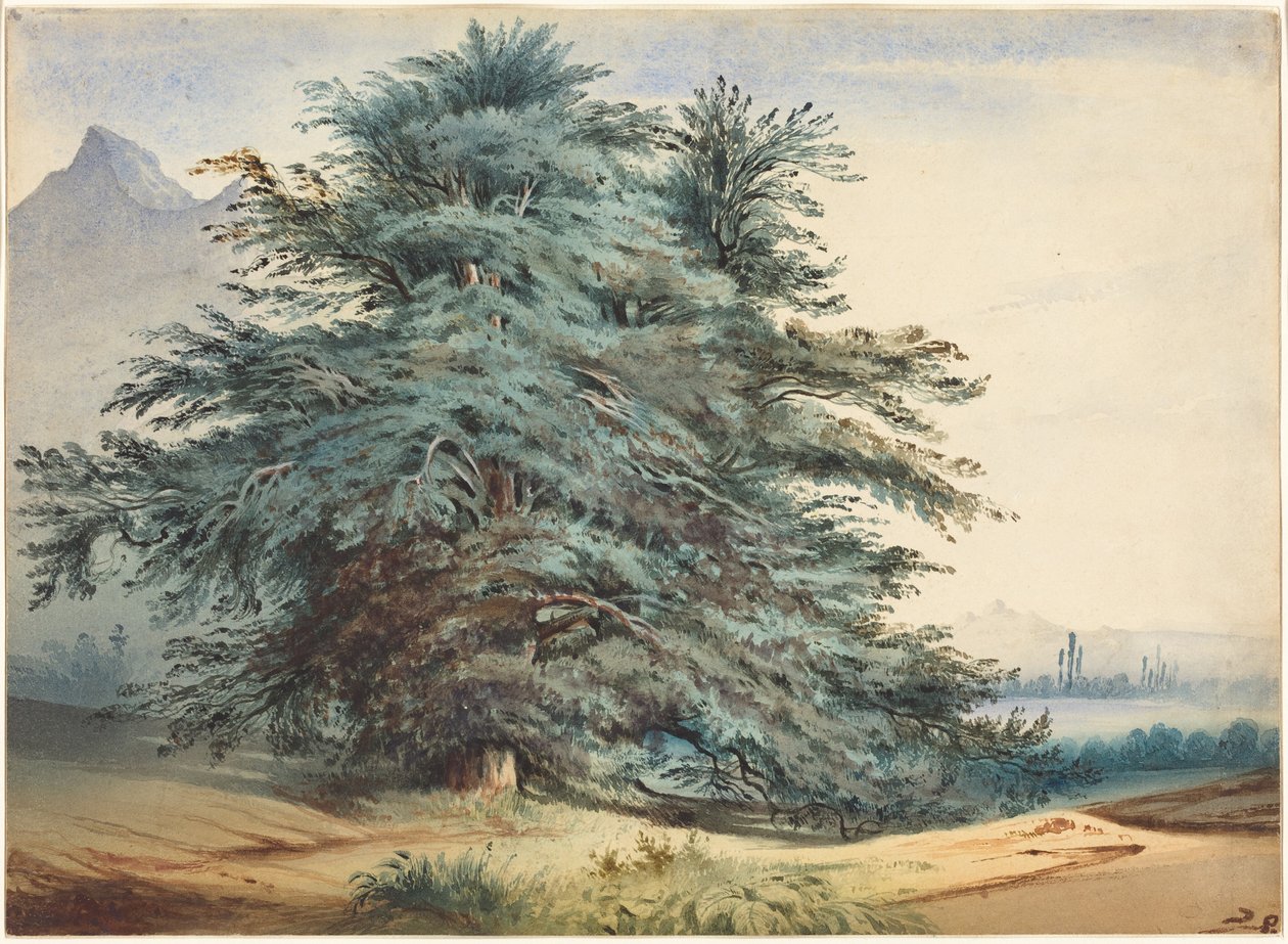 Zwei alte Bäume vor einem Berggipfel von Jules Dupré