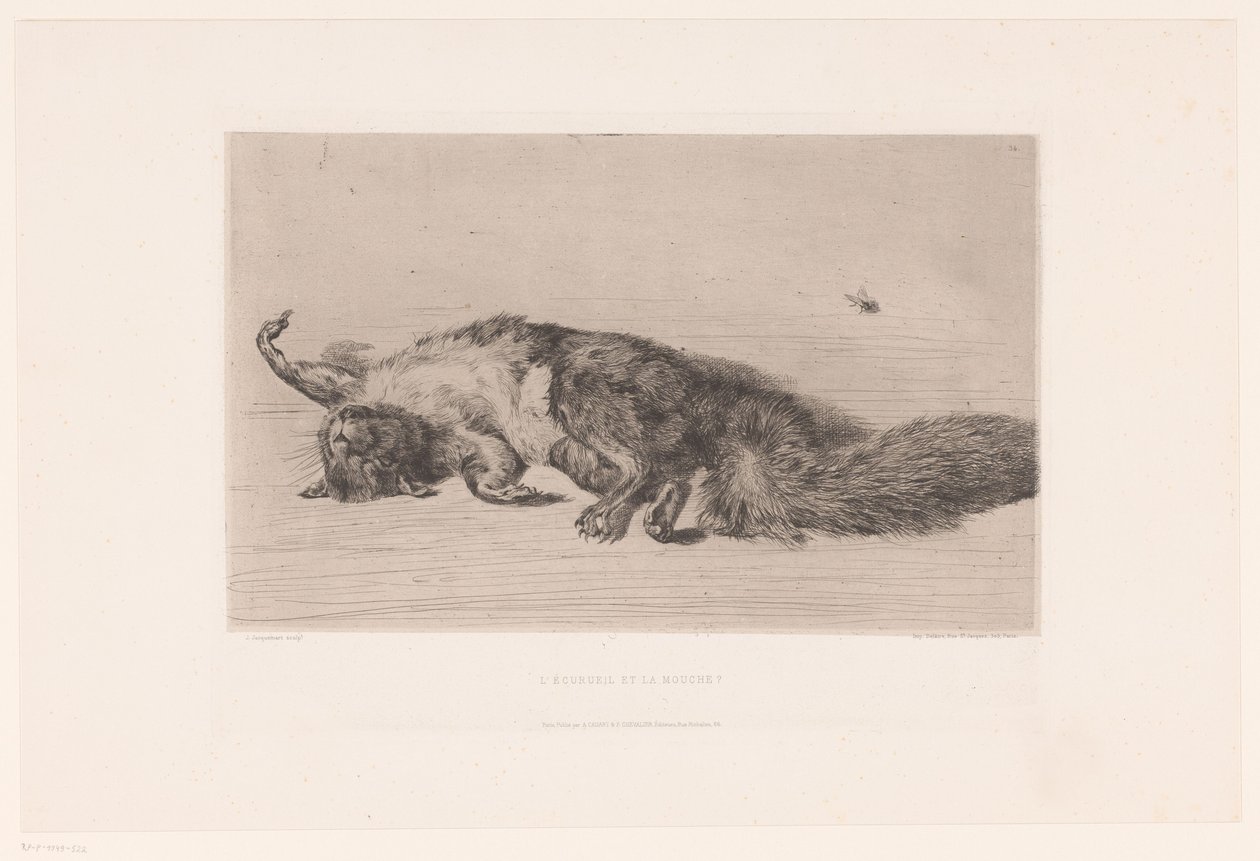Totes Eichhörnchen und Fliege von Jules Ferdinand Jacquemart