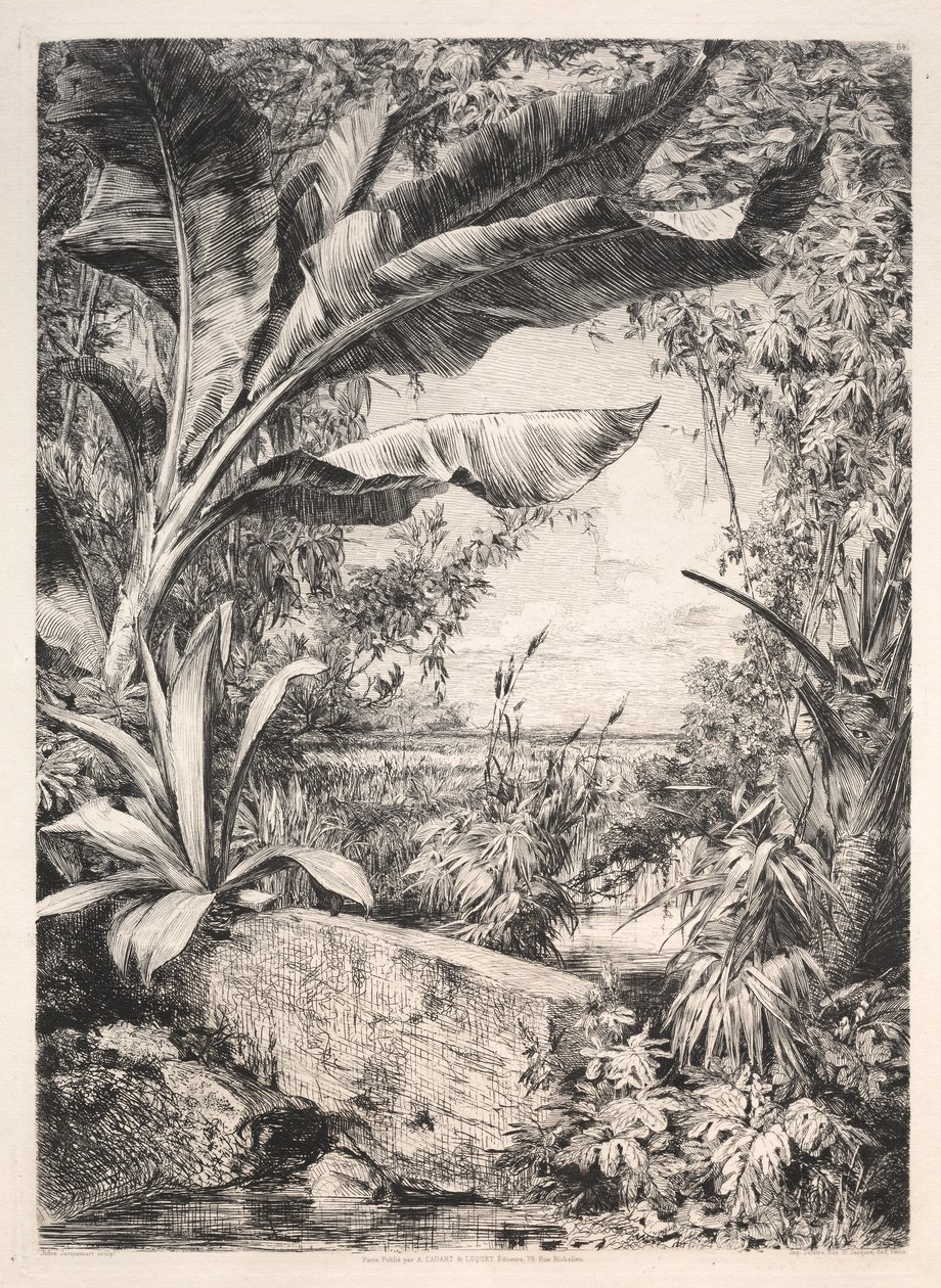 Pflanzen des Gewächshauses, 1872 von Jules Ferdinand Jacquemart