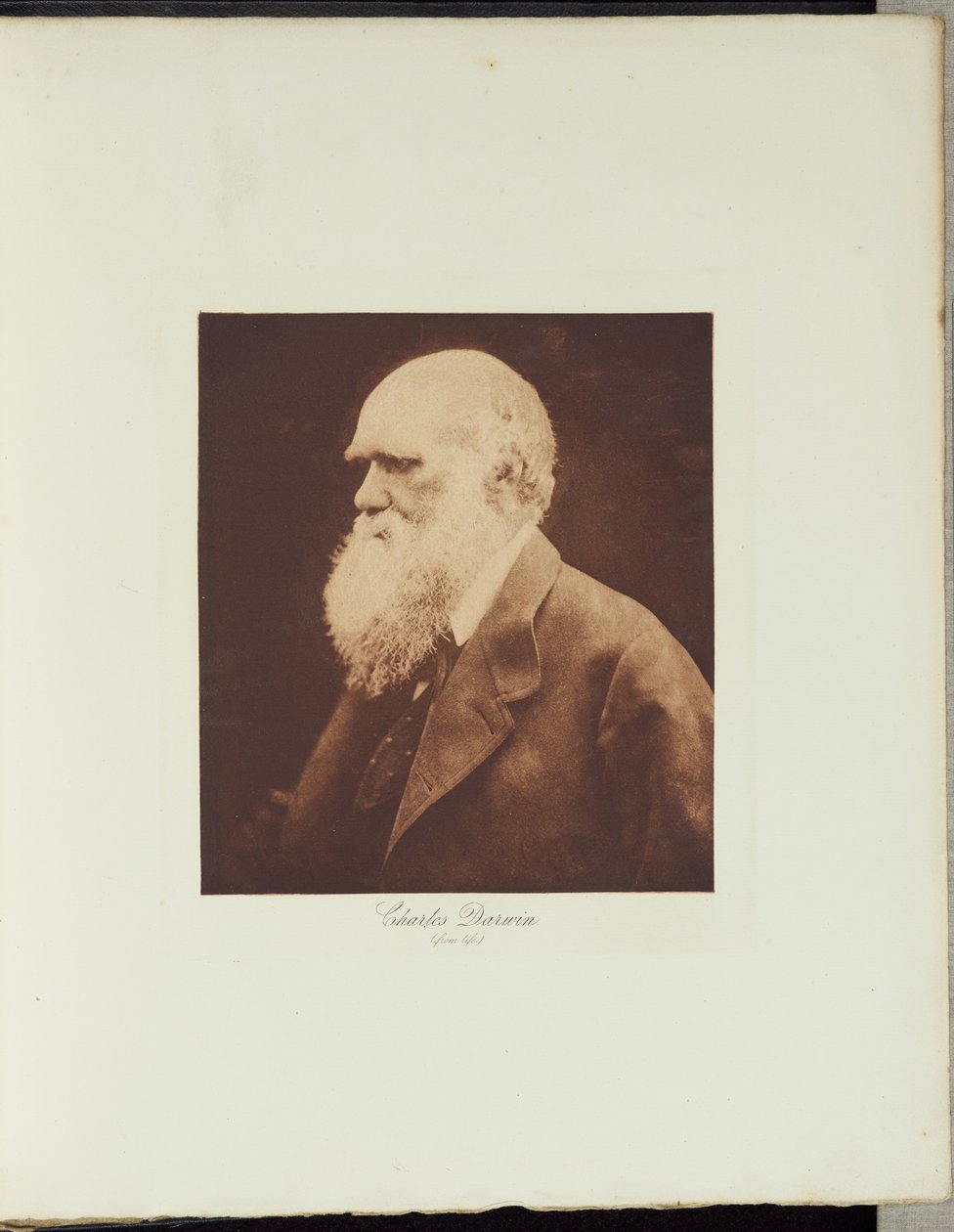 Charles Darwin von Julia Margaret Cameron