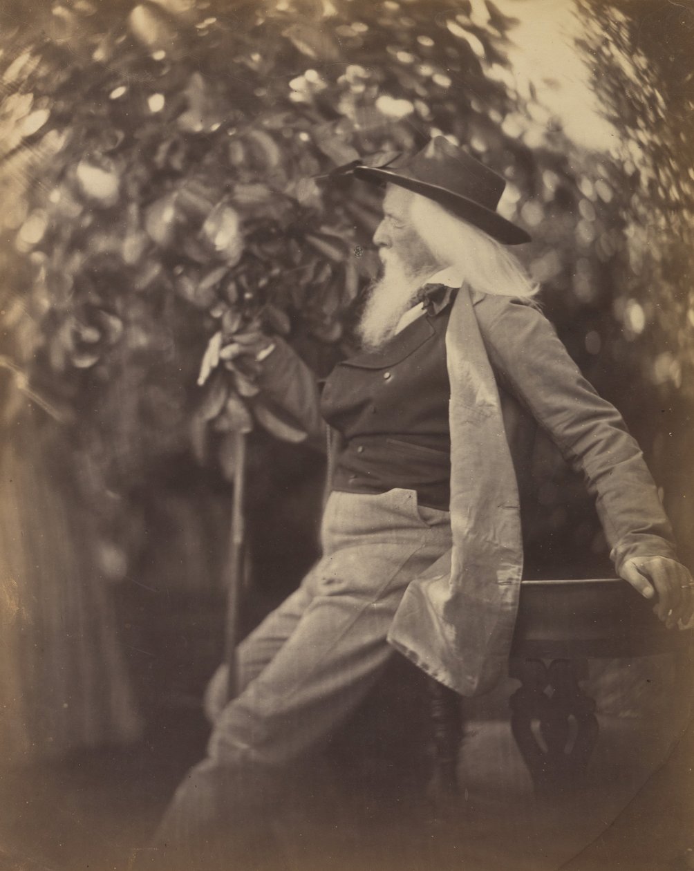 Charles Hay Cameron, Esq., in seinem Garten in Freshwater, 1865-67 von Julia Margaret Cameron
