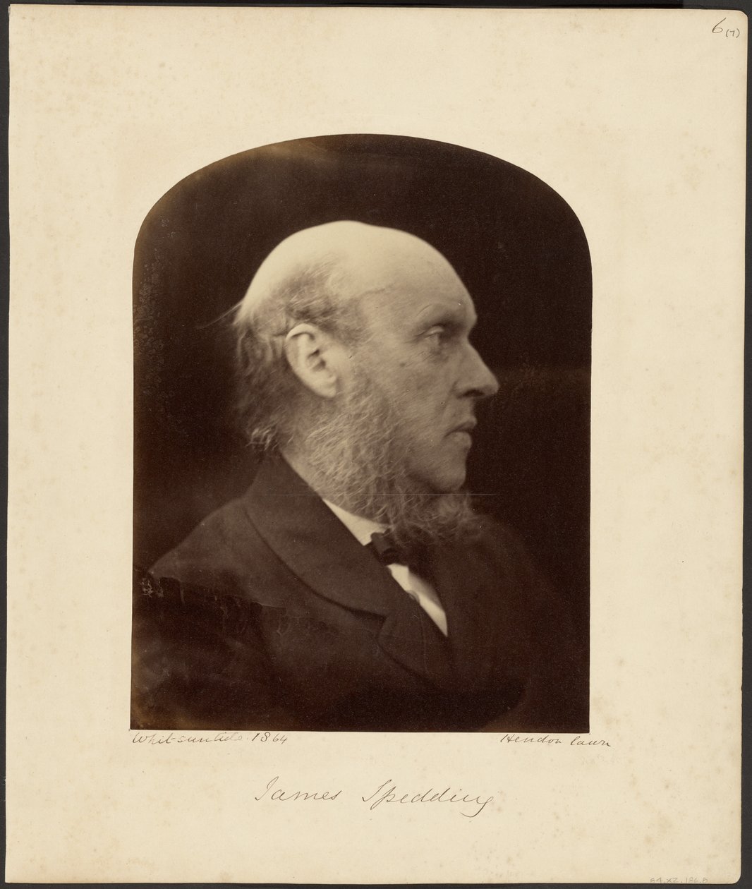 James Spedding von Julia Margaret Cameron