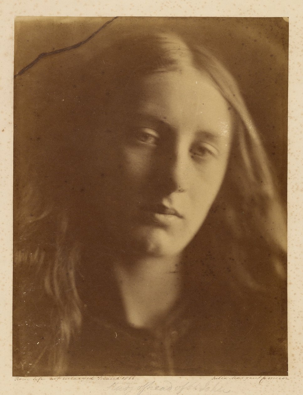 Studienkopf von St. John von Julia Margaret Cameron