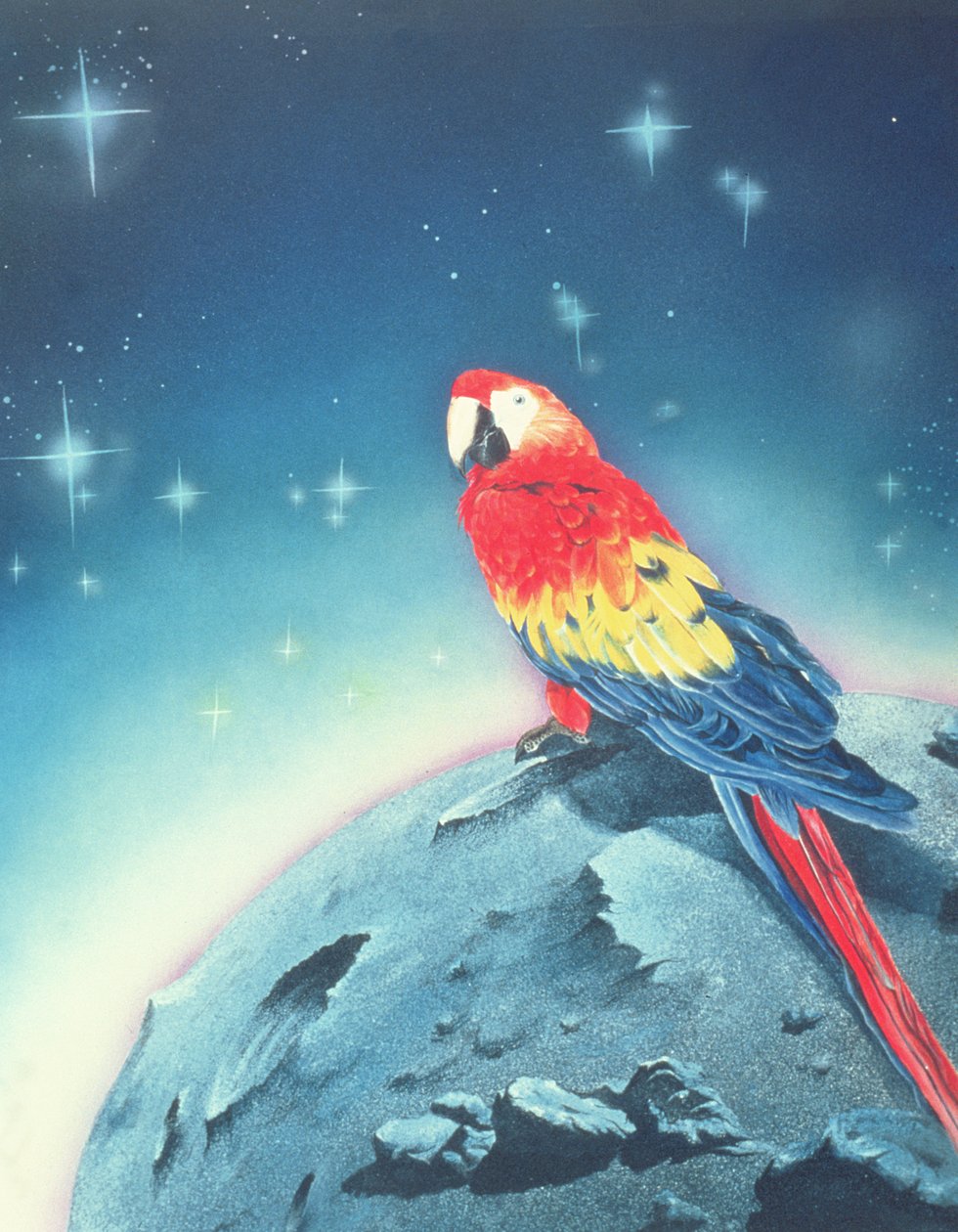 Ohne Titel von Jung Sook Nam