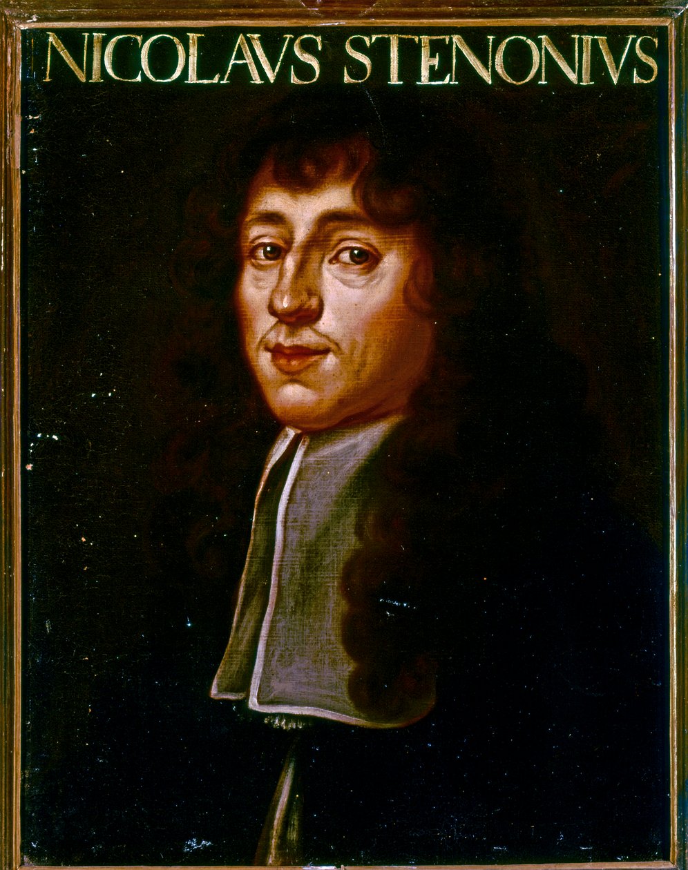 Porträt von Nicolas Steno von Justus Sustermans