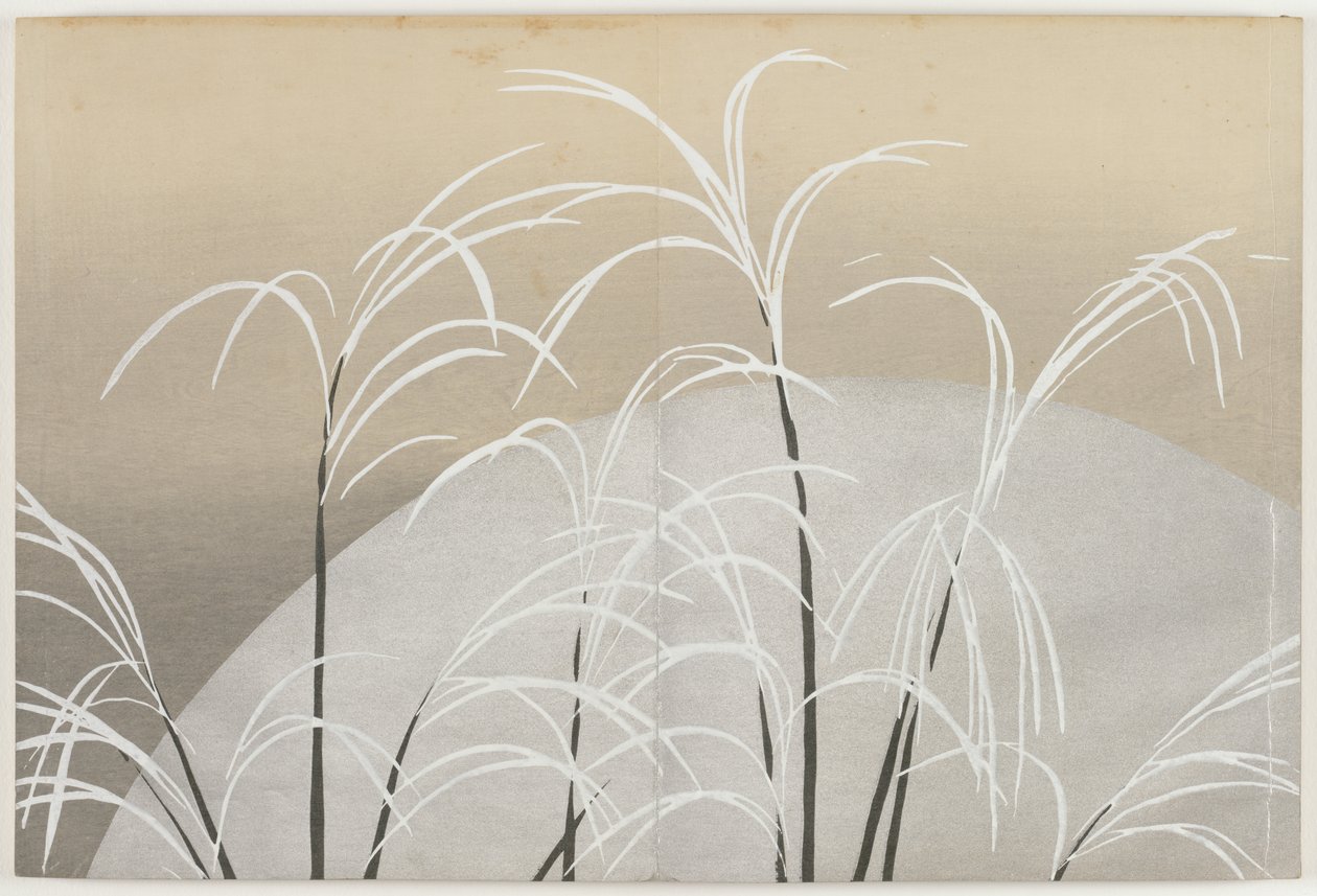 Blumen von hundert Welten (Momoyogusa): Susuki-Gras im Mondlicht von Kamisaka Sekka