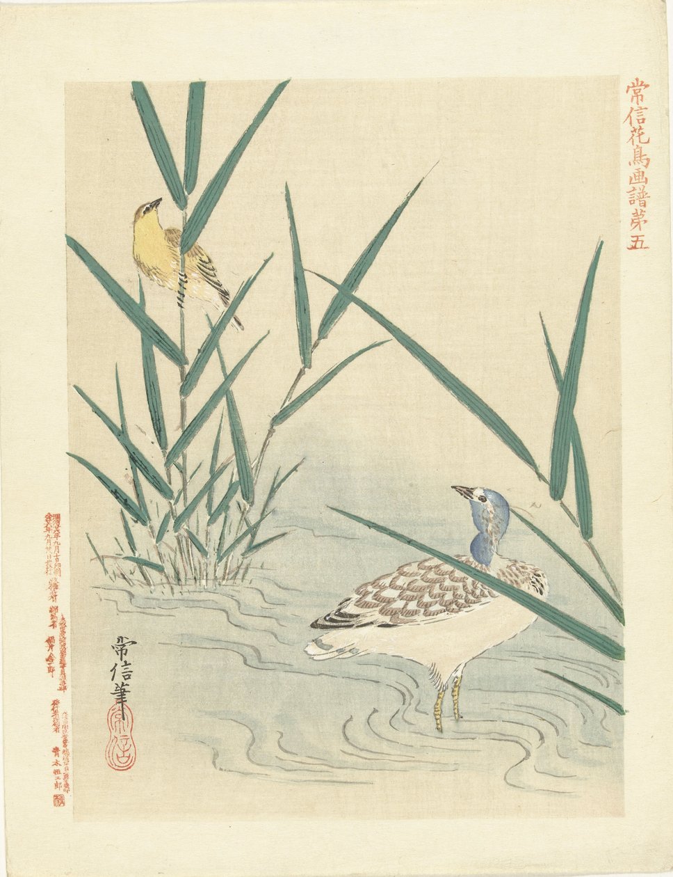 Wasservogel schaut auf gelben Singvogel von Kano Tsunenobu