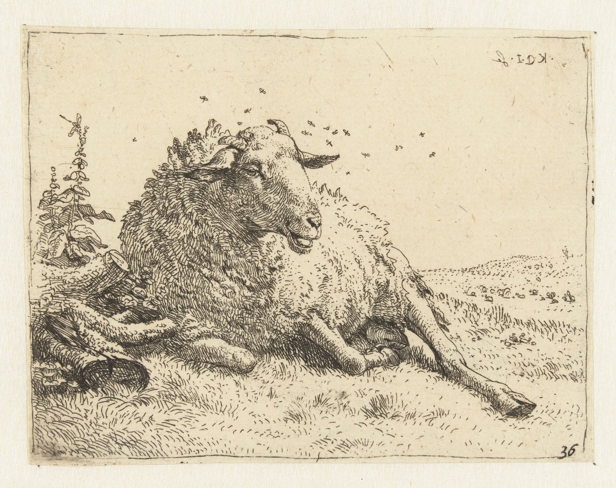 Schaf bei einem Baumstamm von Karel Du Jardin