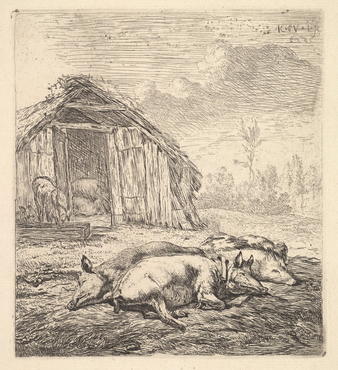 Drei Schweine, die auf der Seite liegen, 1652 von Karel Du Jardin