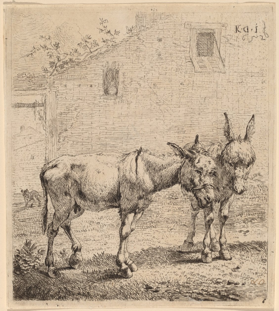 Zwei Esel von Karel Dujardin