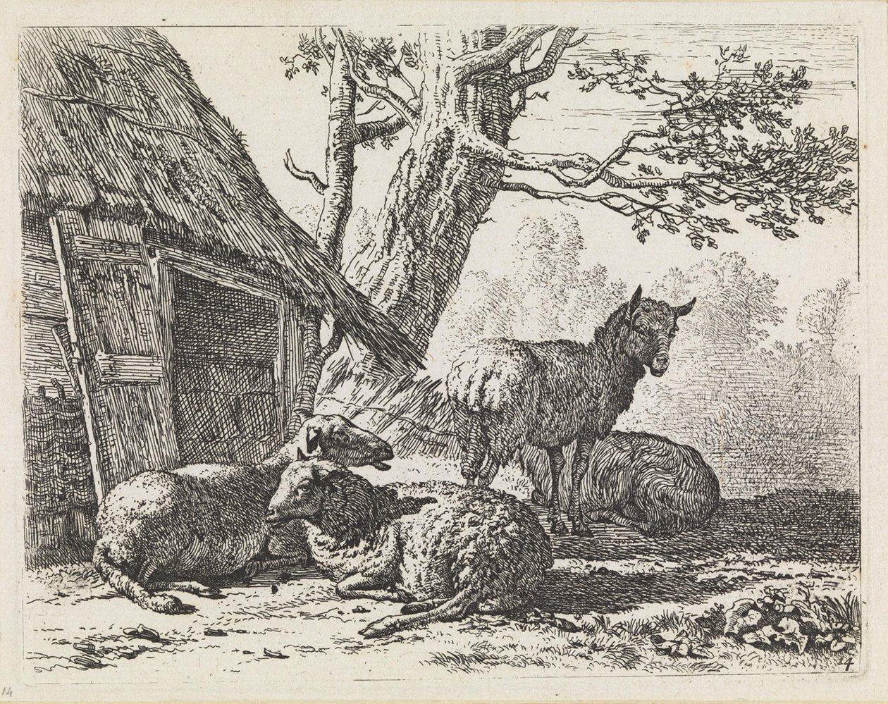 Vier Schafe von Karel Dujardin