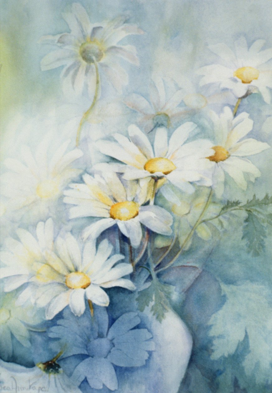 Margeriten, Alexandria von Karen Armitage