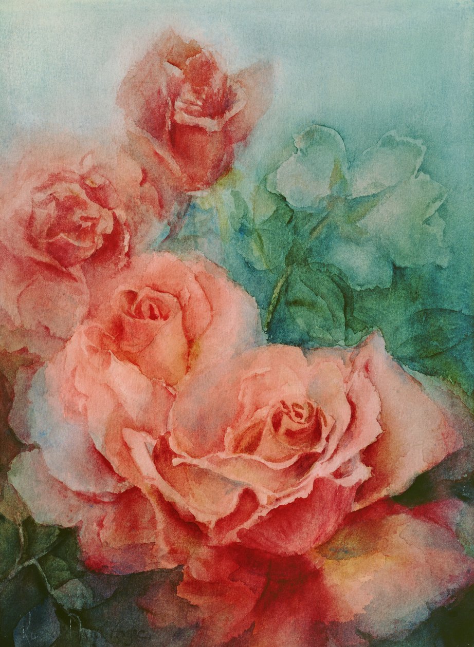 Rosa Rosen, Prima Ballerina von Karen Armitage