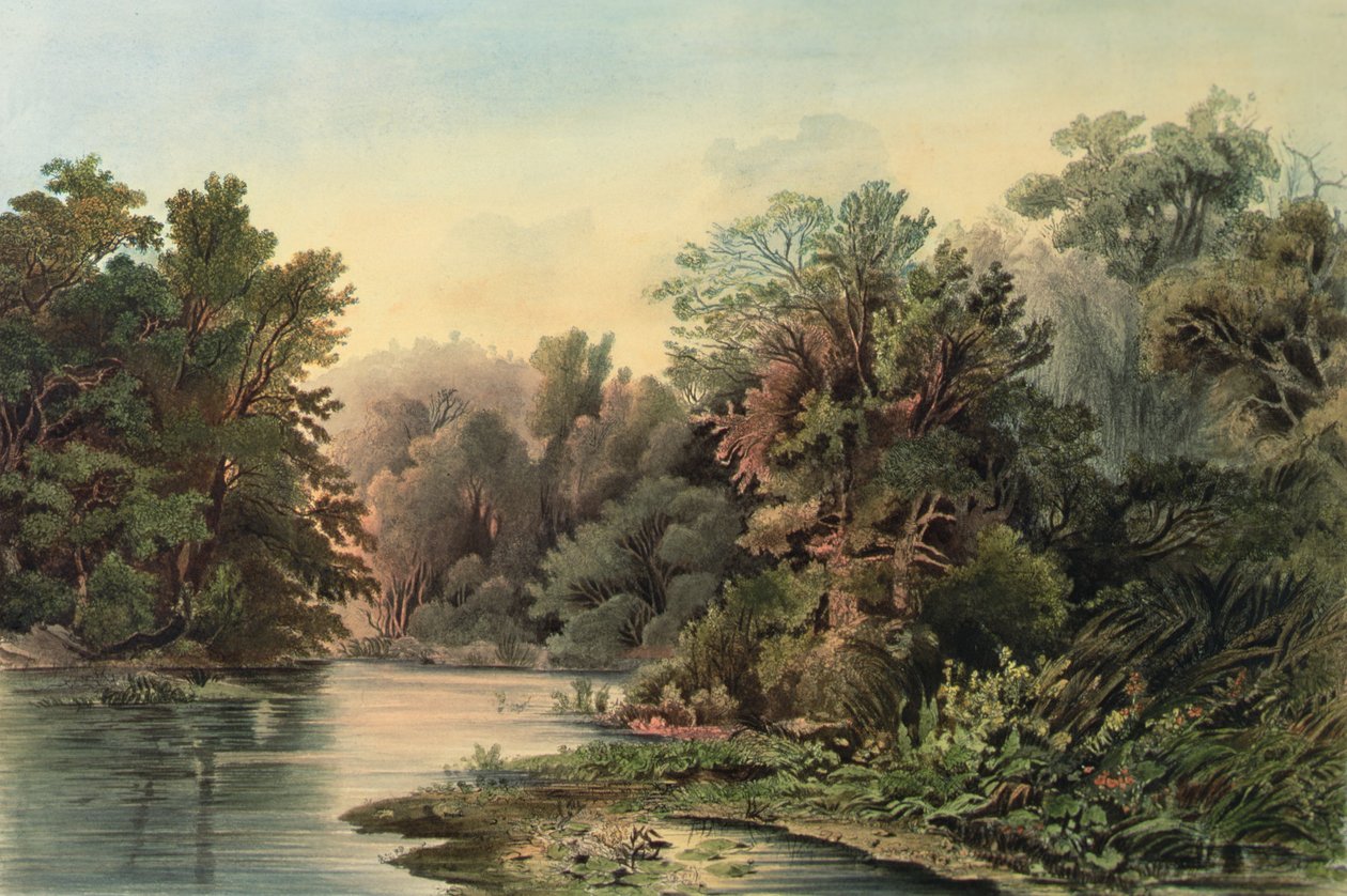 Waldszene am Lehigh, Pennsylvania, Platte 1 aus Band 2 von 