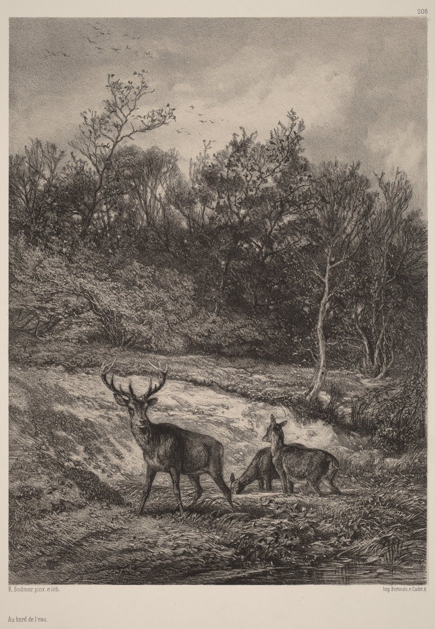 Am Wasser von Karl Bodmer