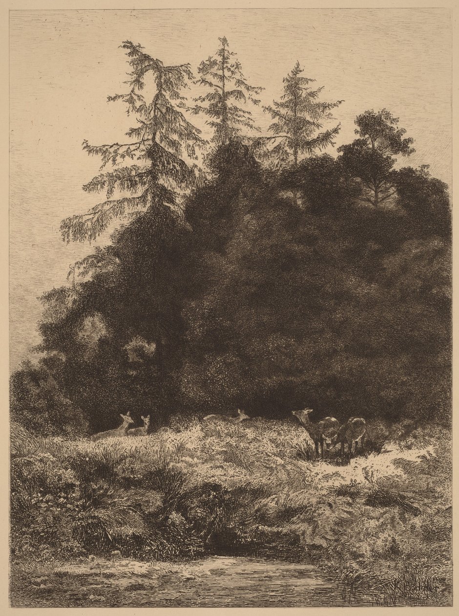 Hirsche in einem Park von Karl Bodmer