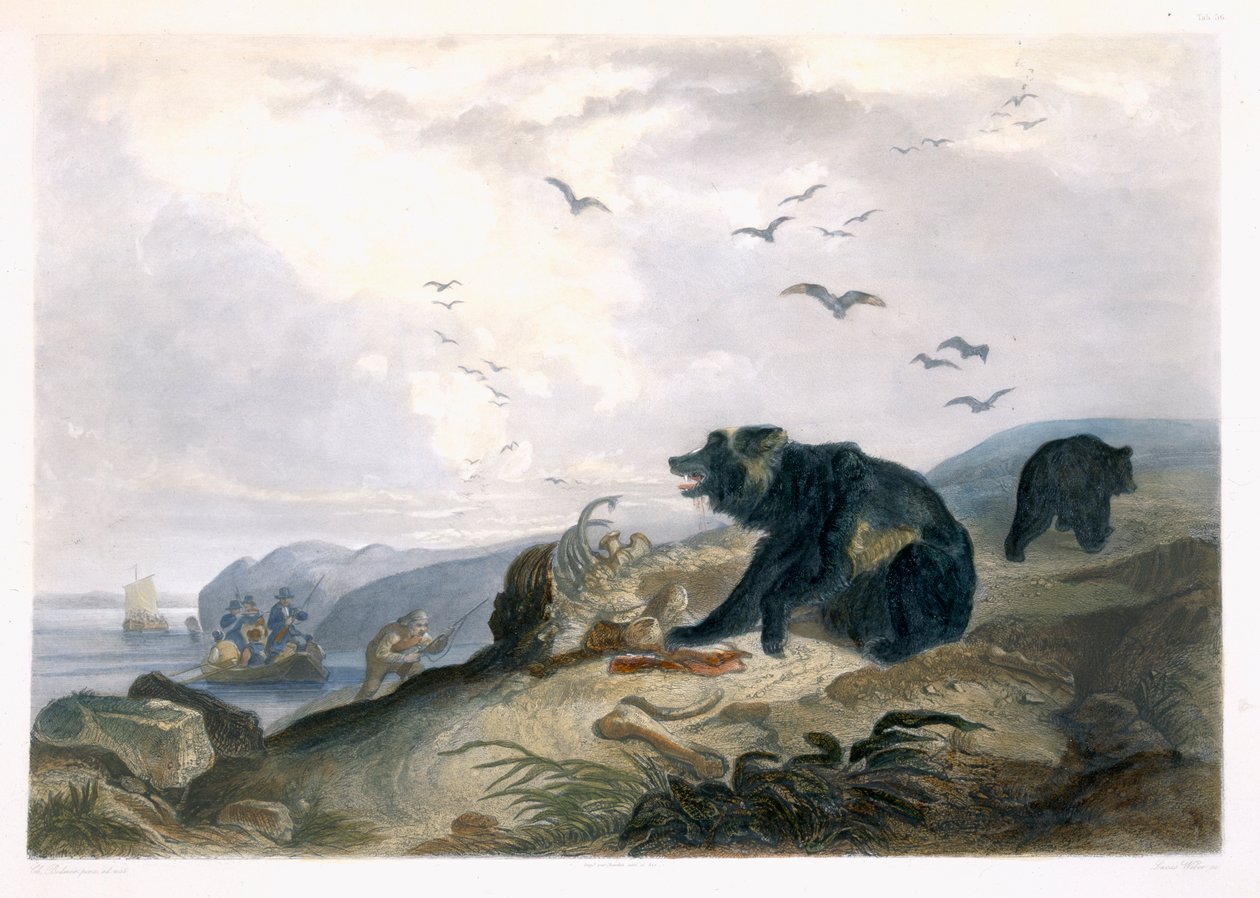 Jagd auf den Grizzlybären, Tafel 36 aus Band 2 von 