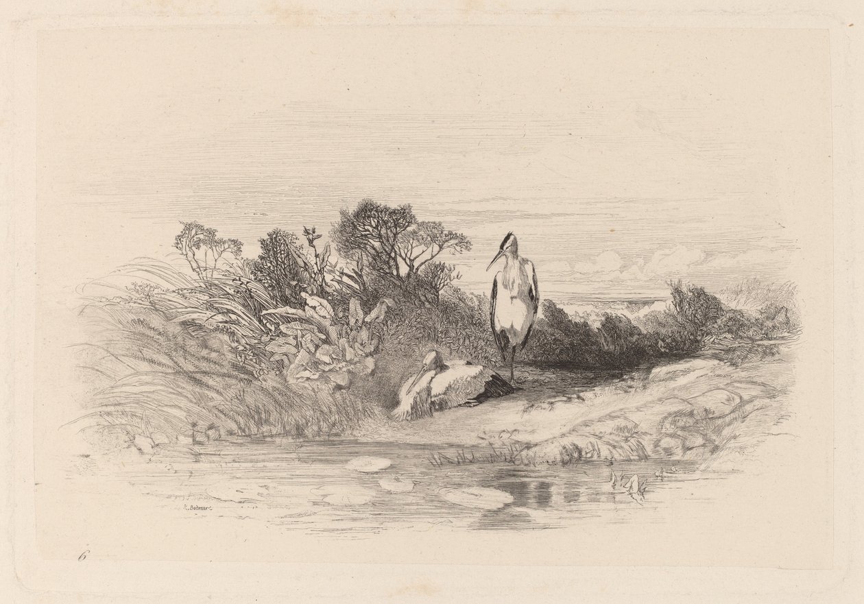 Les Deux Herons von Karl Bodmer