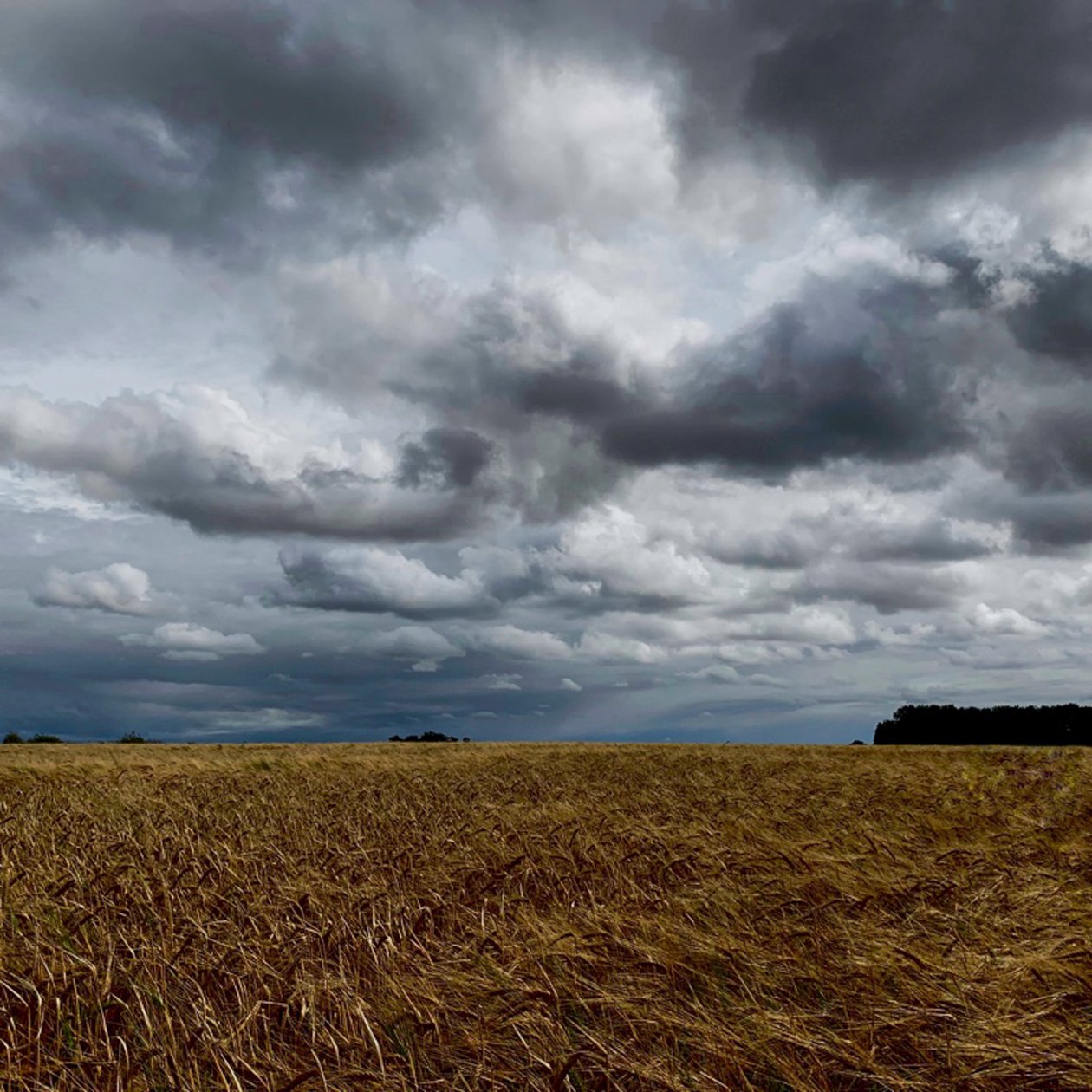 Stürmischer Himmel über einer Spätsommerernte 2020 von Katha Wood
