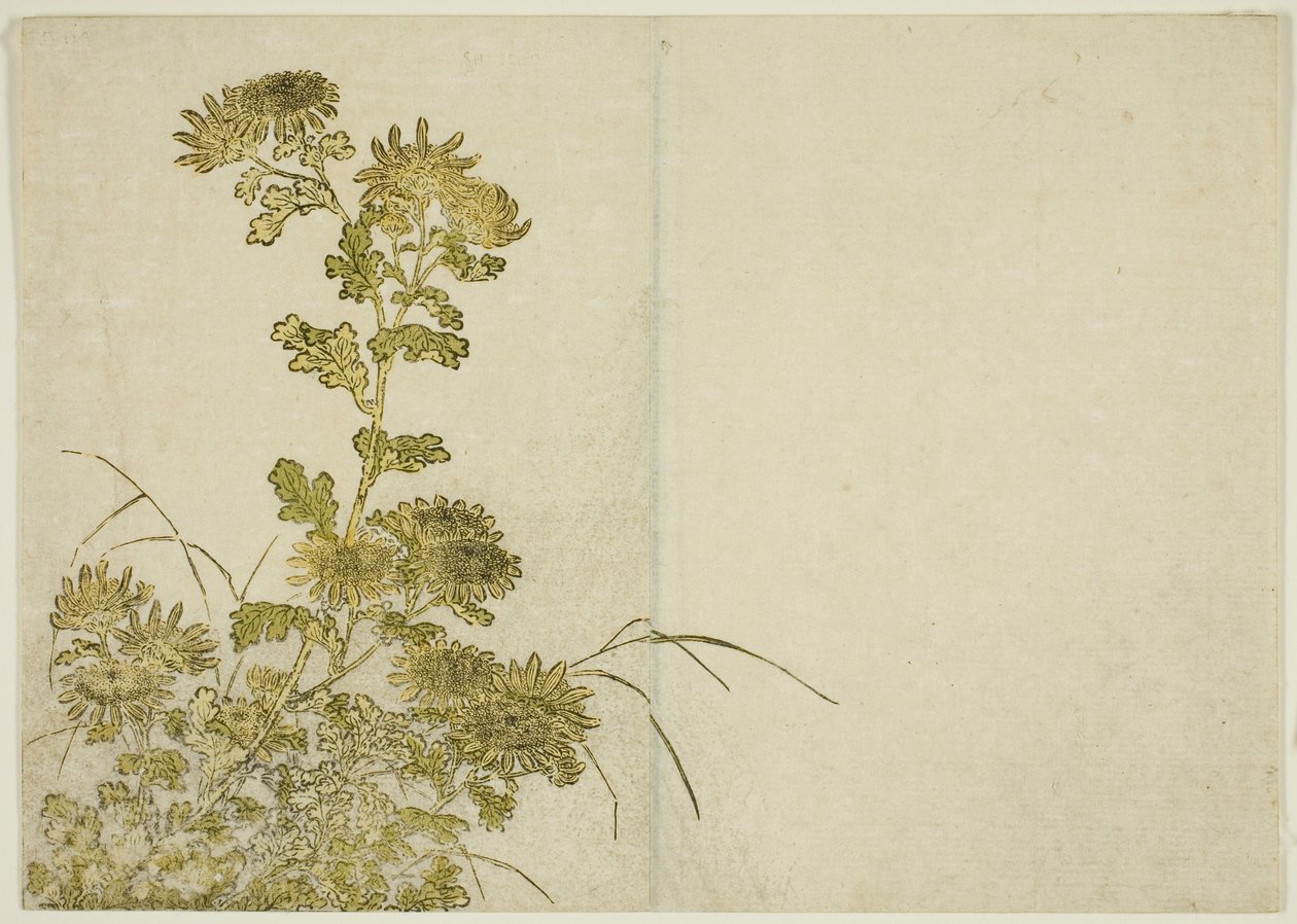 Winterblumen: Chrysanthemen, aus dem Buch "Spiegel der schönen Frauen der Vergnügungsviertel (Seiro bijin awase sugata kagami)", Bd. 1 von Katsukawa Shunsho