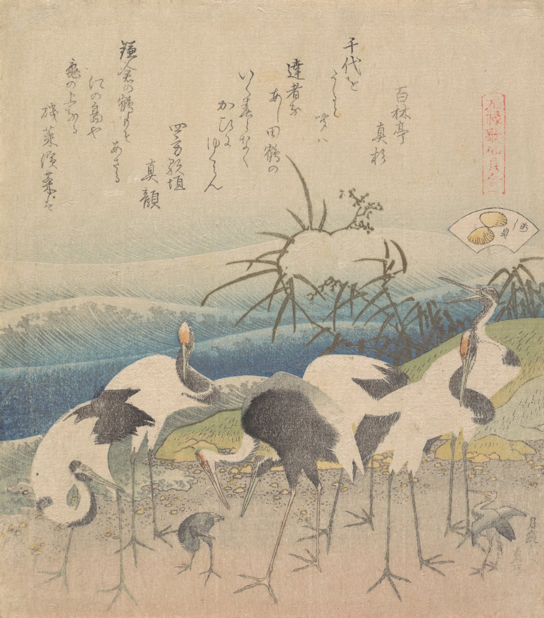 Ashi-Muschel, aus der Serie Genroku Kasen Kai-awase, 1821 von Katsushika Hokusai