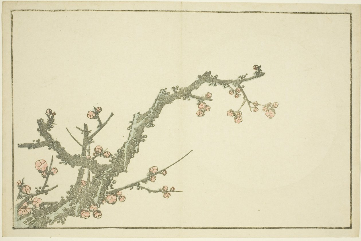 Blühender Pflaumenbaum, aus Das Bilderbuch der realistischen Malereien von Hokusai von Katsushika Hokusai