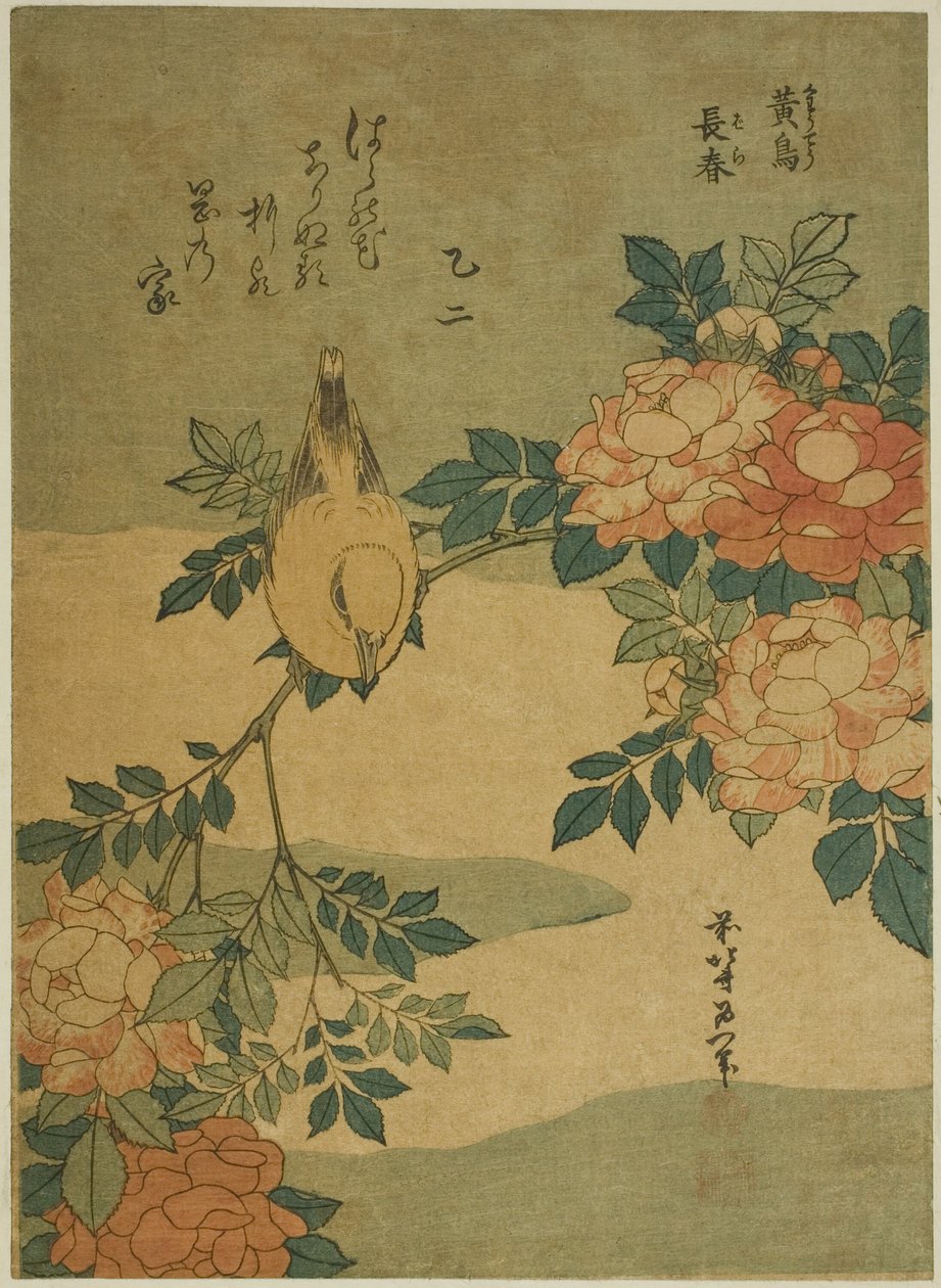 Buschrohrsänger und Rose (Kocho, bara), aus einer unbetitelten Serie von Blumen und Vögeln von Katsushika Hokusai