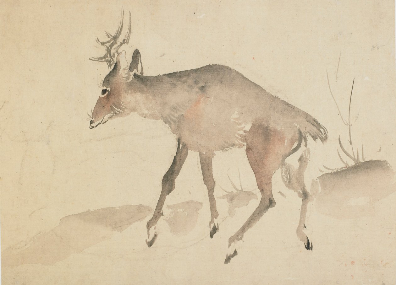 Hirsch, spätes 18. bis frühes 19. Jahrhundert von Katsushika Hokusai
