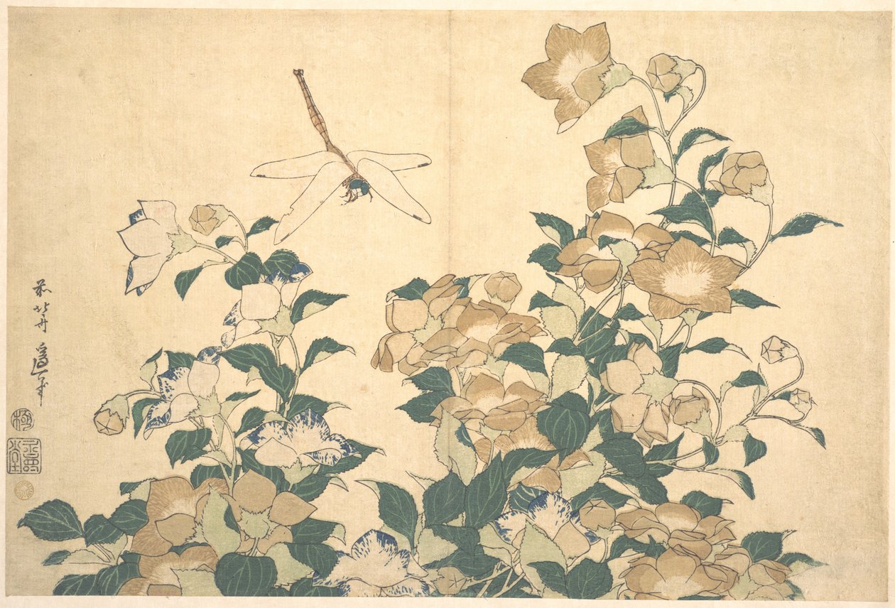 Libelle und Glockenblume von Katsushika Hokusai