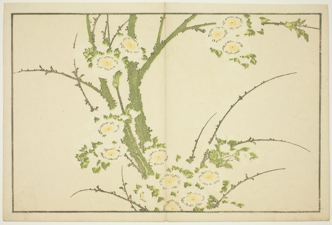 Blumen, aus Das Bilderbuch der realistischen Gemälde von Hokusai von Katsushika Hokusai