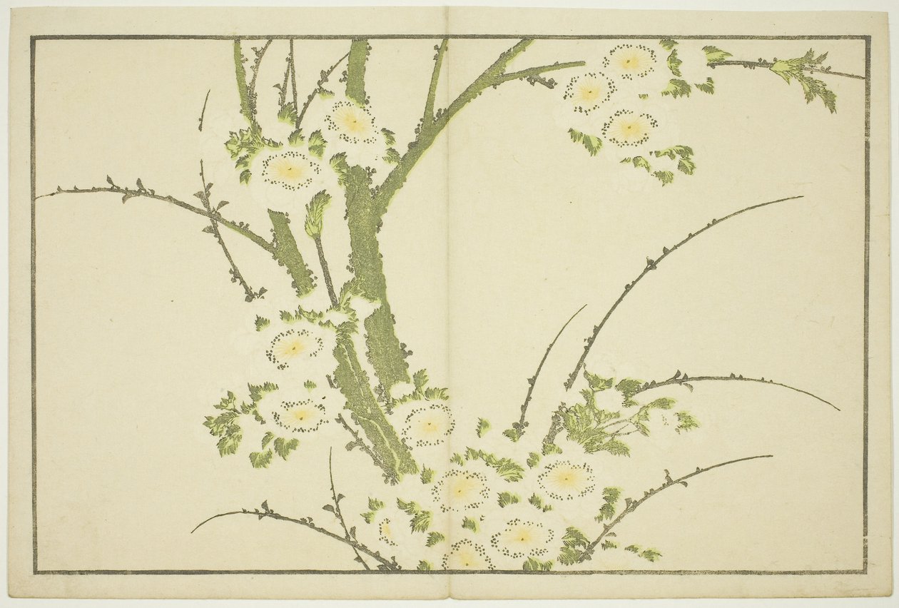 Blumen, aus Das Bilderbuch der realistischen Gemälde von Hokusai (Hokusai shashin gafu), ca. 1814 von Katsushika Hokusai