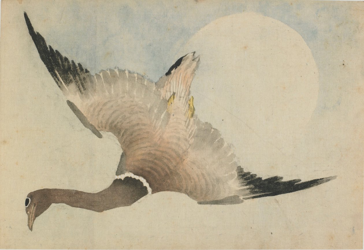 Gans fliegt vor dem Mond von Katsushika Hokusai