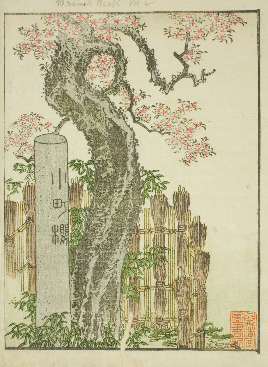 Komachi-Kirschbaum (Komachi zakura), aus dem illustrierten Buch "Bilderbuch der Vergnügungen des Ostens (Ehon Azuma asobi)" von Katsushika Hokusai