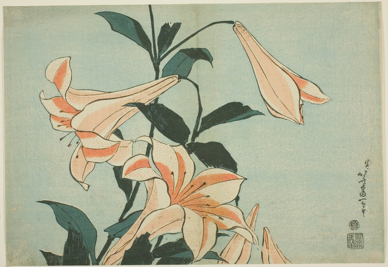 Lilien, aus einer unbetitelten Serie von großen Blumen von Katsushika Hokusai