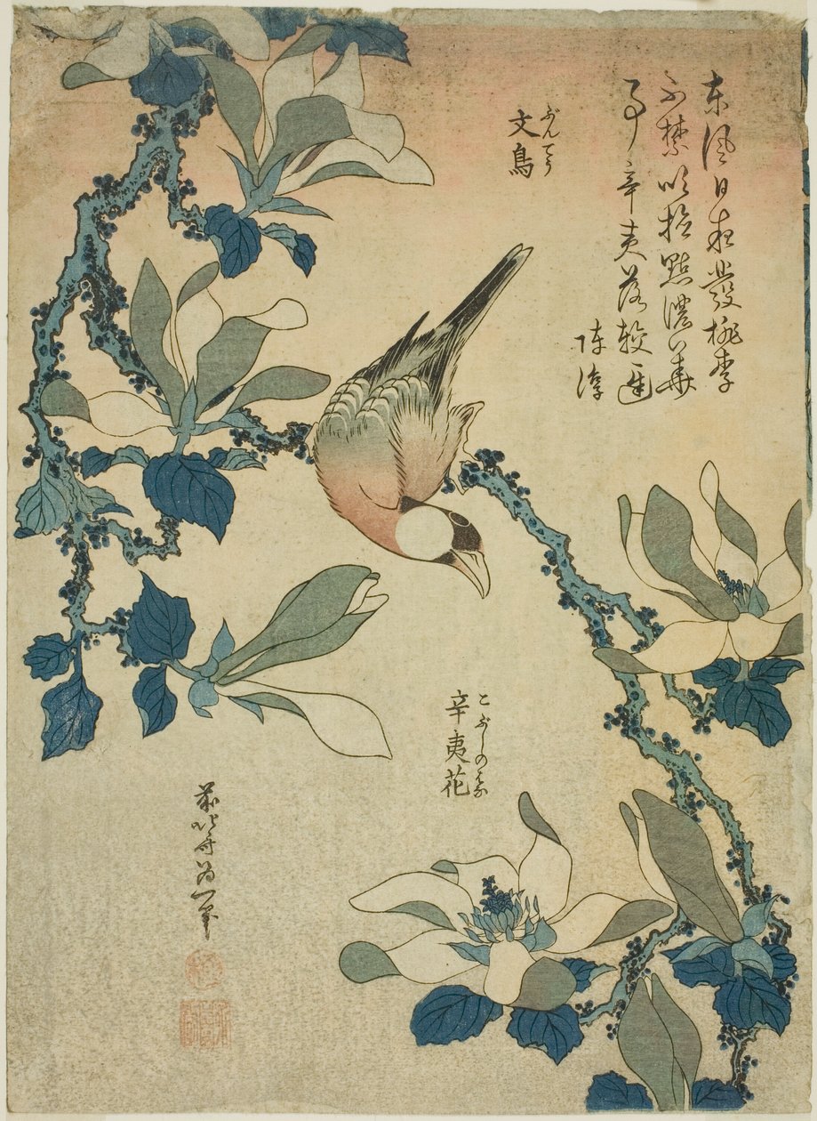 Reiher und Magnolienblüten (Buncho, kobushi no hana), aus einer unbetitelten Serie von Blumen und Vögeln von Katsushika Hokusai
