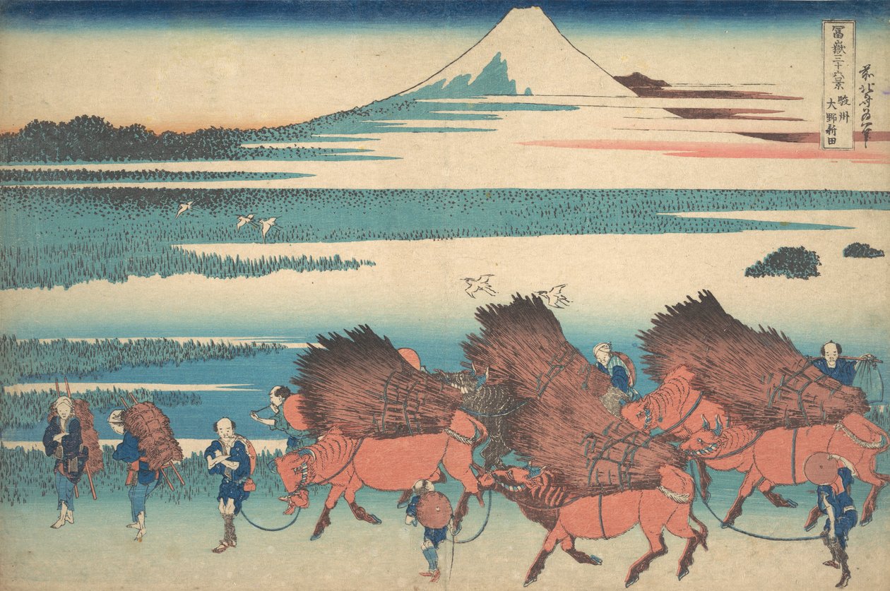 Die neuen Felder bei Ono in der Provinz Suruga Sunshu Ono shinden, aus der Serie Thir..., ca. 1830-32 von Katsushika Hokusai