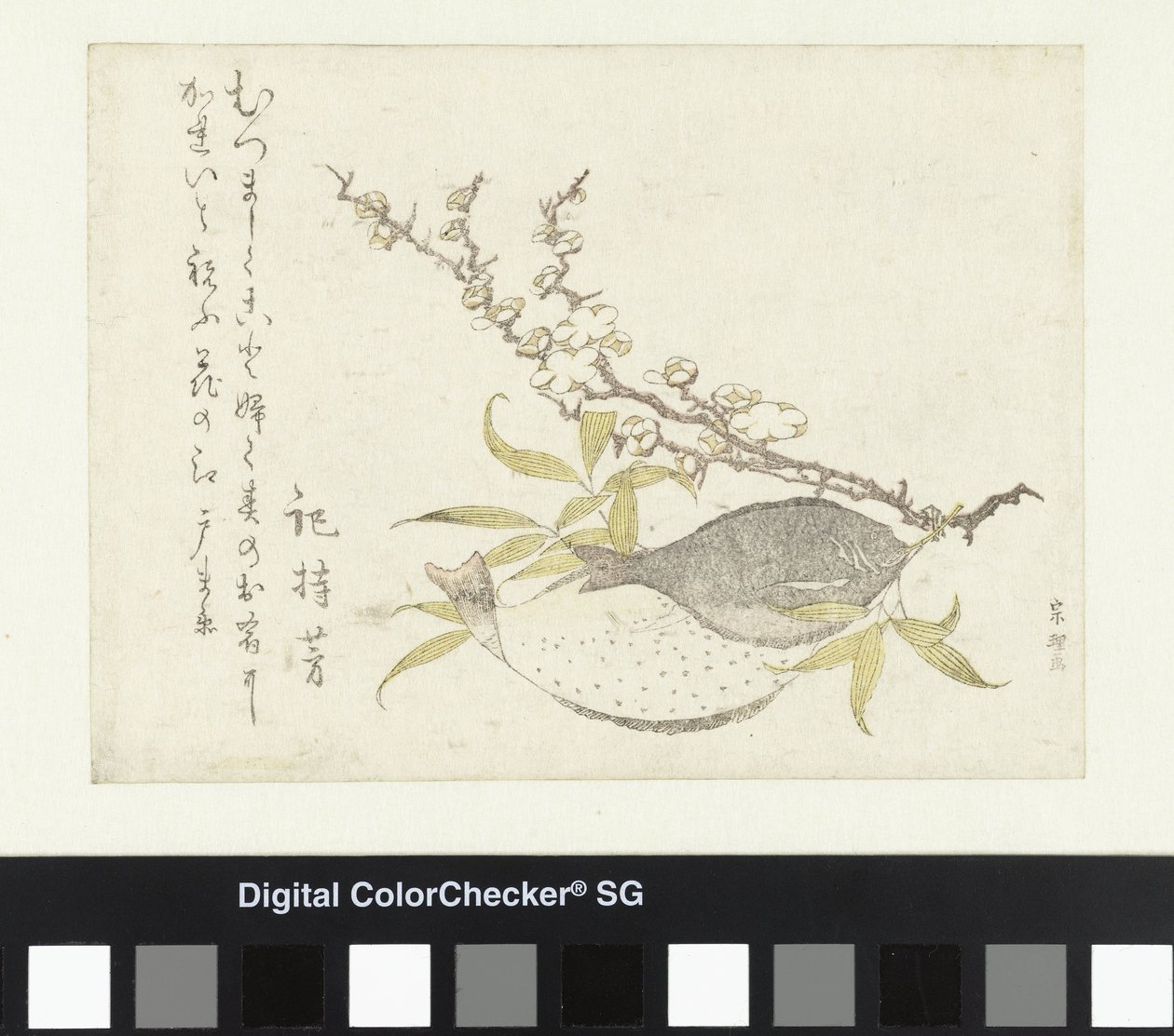Zwei Plattfische und Pflaume von Katsushika Hokusai