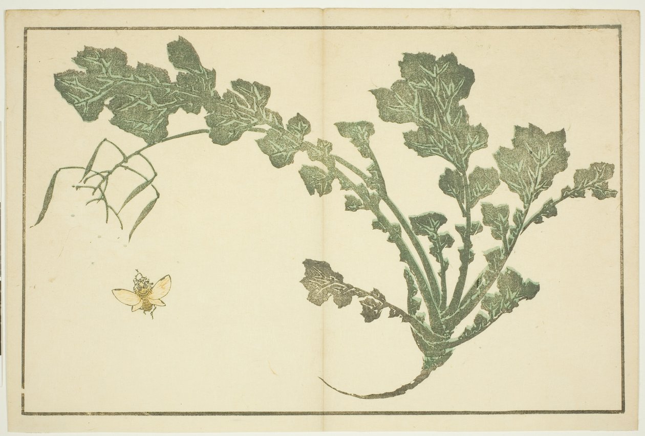 Wespe und Rübenstängel, aus "Das Bilderbuch der realistischen Malereien von Hokusai" von Katsushika Hokusai
