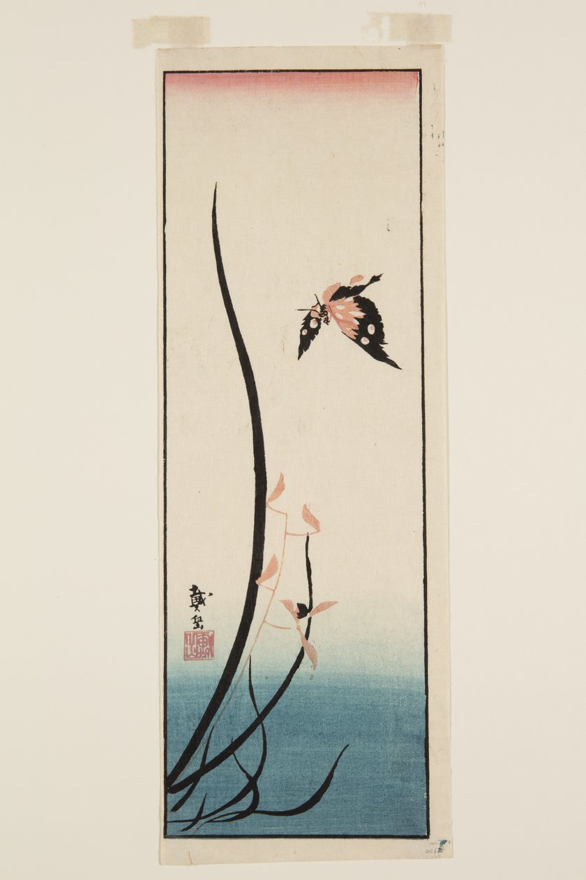 Schmetterling und Gras von Katsushika II (fl.1820 50) Taito