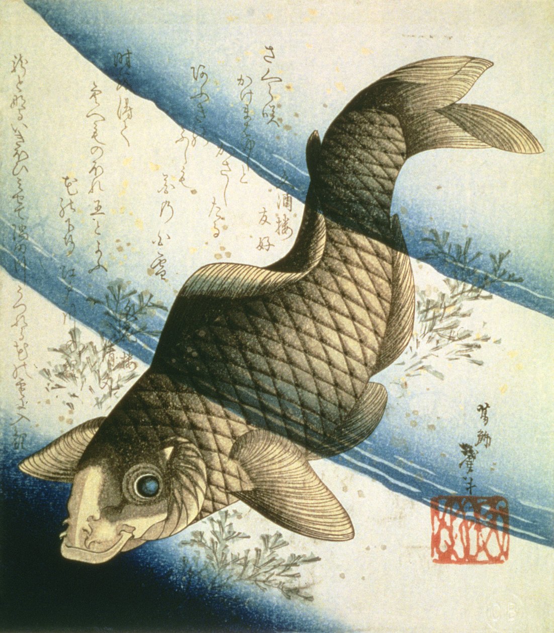 Ein Karpfen schwimmt zwischen Wasserpflanzen, ca. 1832 von Katsushika II Taito