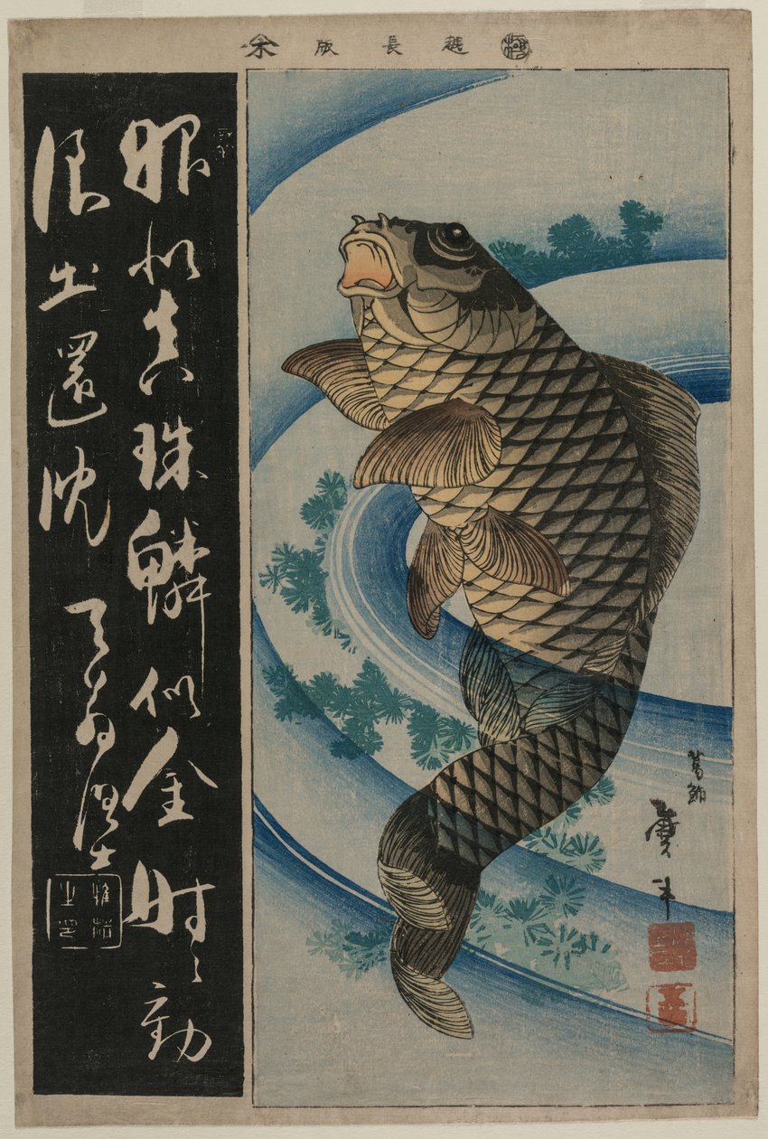 Karpfen und Wasserpflanzen von Katsushika Taito II