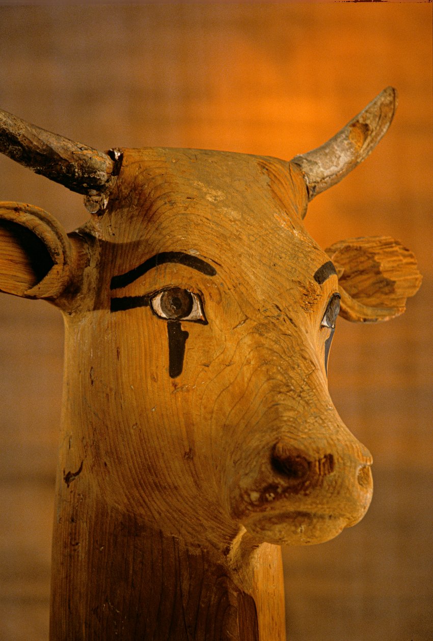 Kuhkopf-Skulptur, KV35; Amenhotep II von Kenneth Garrett
