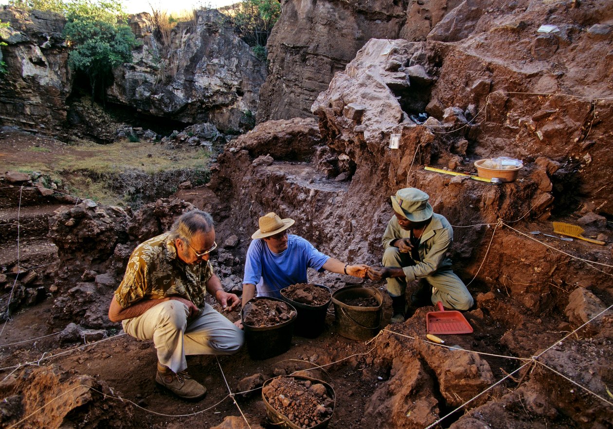 Drimolean-Stätte, nahe Johannesburg, Südafrika, 2 Millionen Jahre alter Hominide von Kenneth Garrett