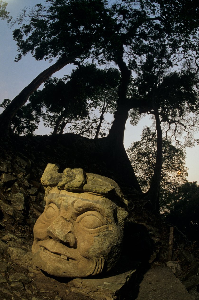 Gott N, Ceiba-Baum, Tempel, Maya, Copan, Honduras, Klassische Periode von Kenneth Garrett
